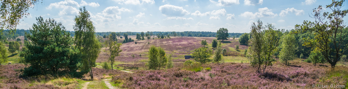 Ferienwohnung von Ahrentschildt